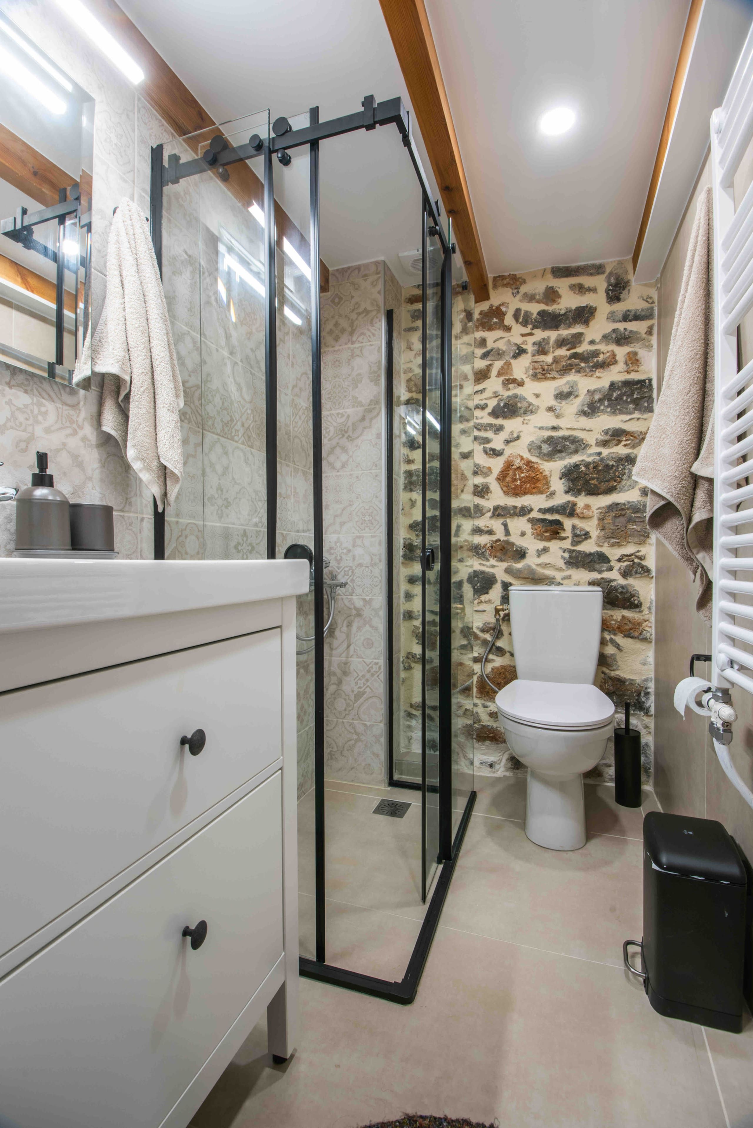 Douche vitrée et toilettes, mur de pierre